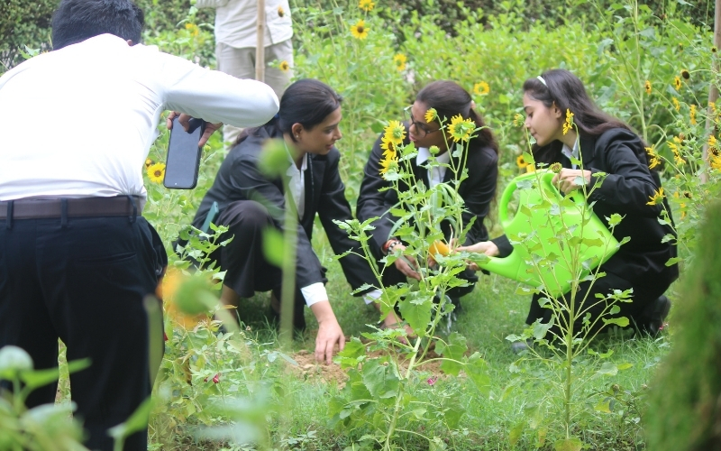Plantation Drive